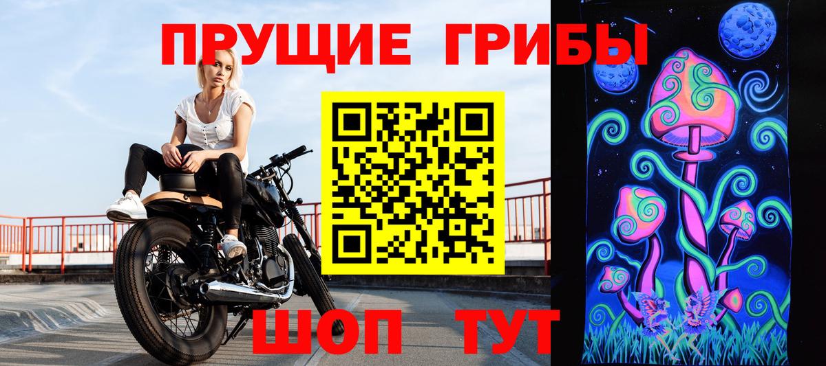 Псилоцибиновые грибы мухоморы Лабинск